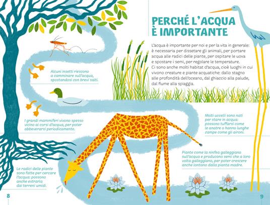 Il ciclo dell'acqua - Beniamino Sidoti - 4