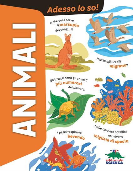 Animali. Adesso lo so! - Anna Romano - copertina