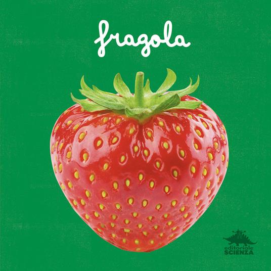 Fragola. Un primo sguardo scientifico sul mondo naturale. Ediz. a colori - Micol Doria - copertina