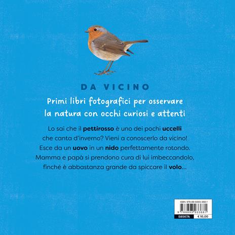 Pettirosso. Ediz. a colori - Micol Doria - 2