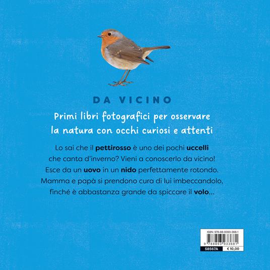 Pettirosso. Ediz. a colori - Micol Doria - 2