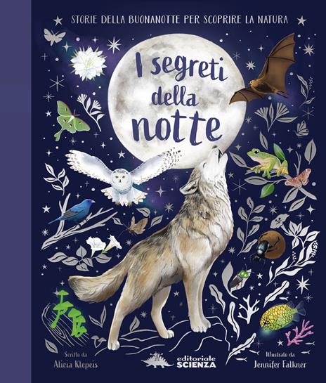 I segreti della notte. Ediz. a colori - Alice Kepleis - copertina