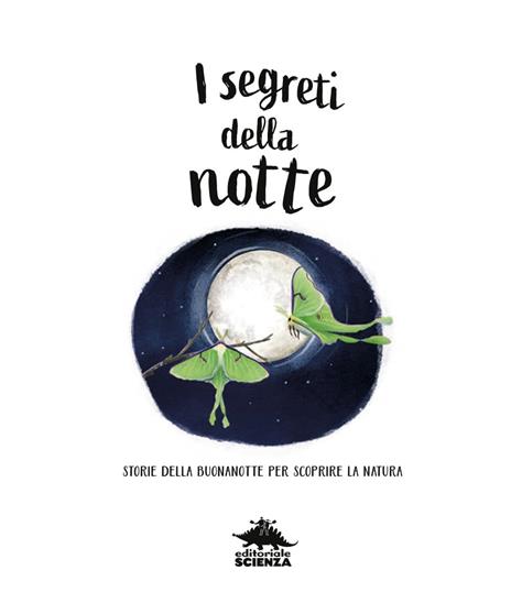 I segreti della notte. Ediz. a colori - Alice Kepleis - 2
