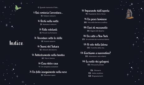 I segreti della notte. Ediz. a colori - Alice Kepleis - 4