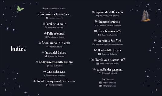 I segreti della notte. Ediz. a colori - Alice Kepleis - 4