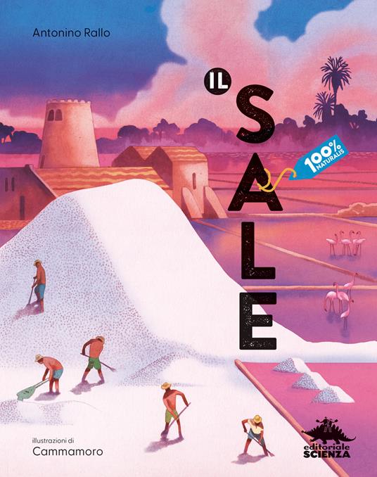 Il sale - Antonino Rallo - copertina