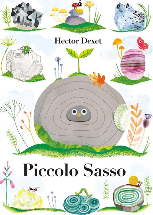Piccolo sasso. Ediz. a colori - Hector Dexet - copertina
