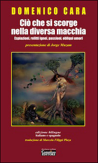 Libraccio