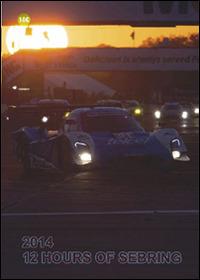 2014. 12 hours of sebring - Stefano Iori - copertina