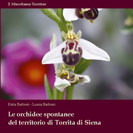 Le orchidee spontanee del territorio di Torrita di Siena - Katia Barbieri,Luana Barbieri - copertina