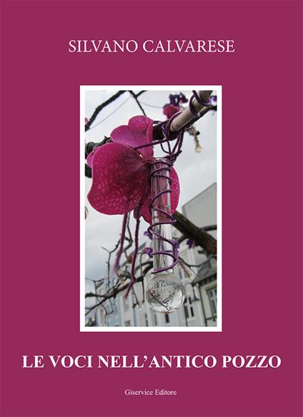 Le voci nell'antico pozzo - Silvano Calvarese - copertina