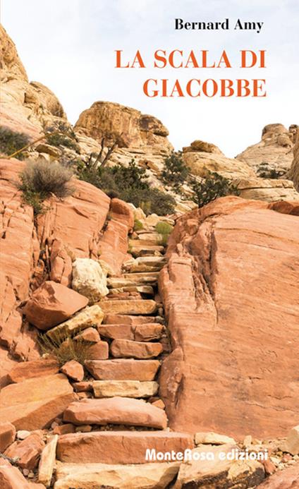 La scala di Giacobbe - Bernard Amy - copertina