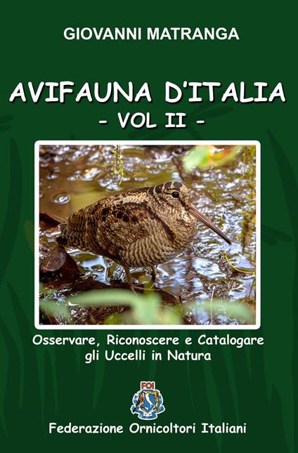 Avifauna d'Italia. Osservare, riconoscere e catalogare gli uccelli in natura. Ediz. illustrata. Vol. 2 - Giovanni Matranga - copertina