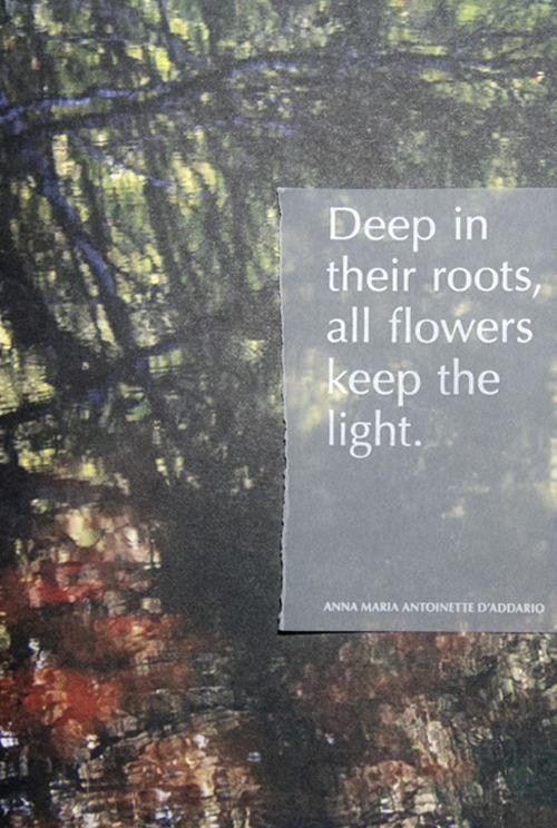 Deep in their roots, all flowers keep the light. Ediz. illustrata - Anna Maria Antoinette D'Addario - copertina