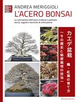 L' acero bonsai. La coltivazione dell'acero tridente e palmato: storia, segreti e tecniche di coltivazione