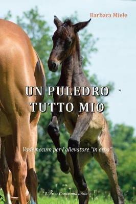 Un puledro tutto mio. Vademecum per l'allevatore «in erba» - Barbara Miele - copertina
