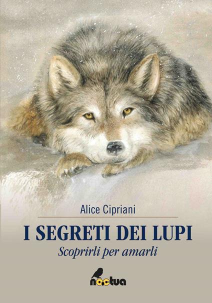 I segreti dei lupi. Scoprirli per amarli - Alice Cipriani - copertina