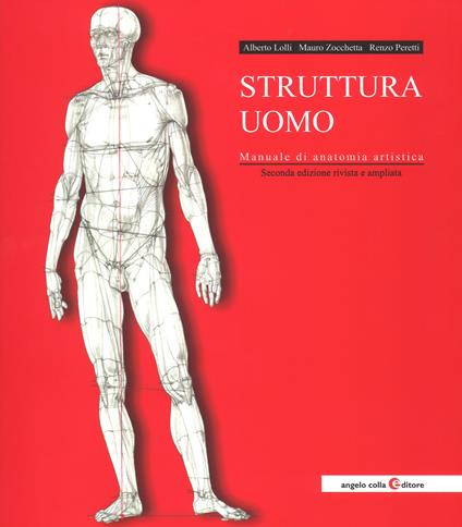 Struttura uomo. Manuale di anatomia artistica. Nuova ediz. - Alberto Lolli,Mauro Zocchetta,Renzo Peretti - copertina
