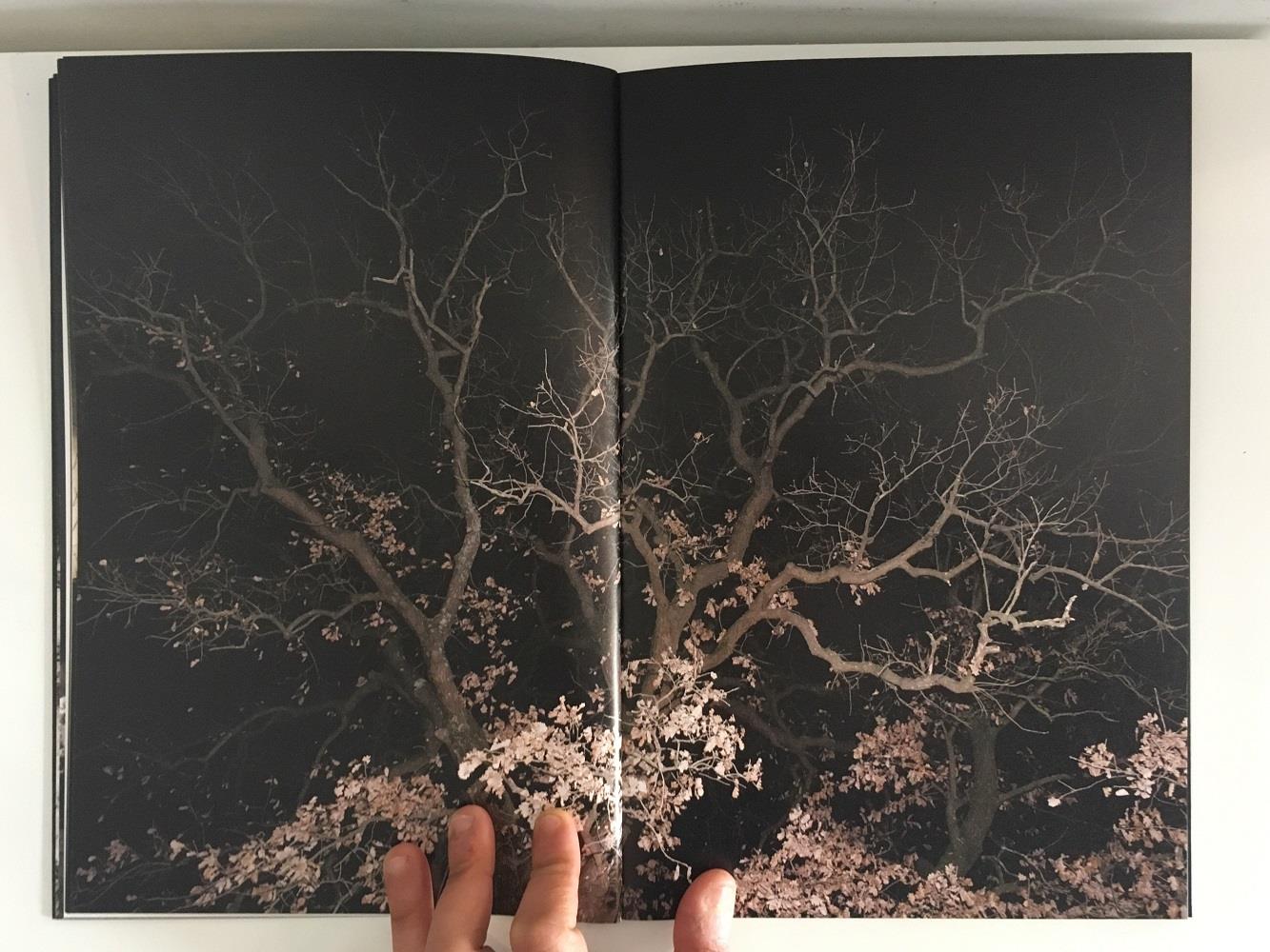 Malagrotta. Ediz. italiana e inglese