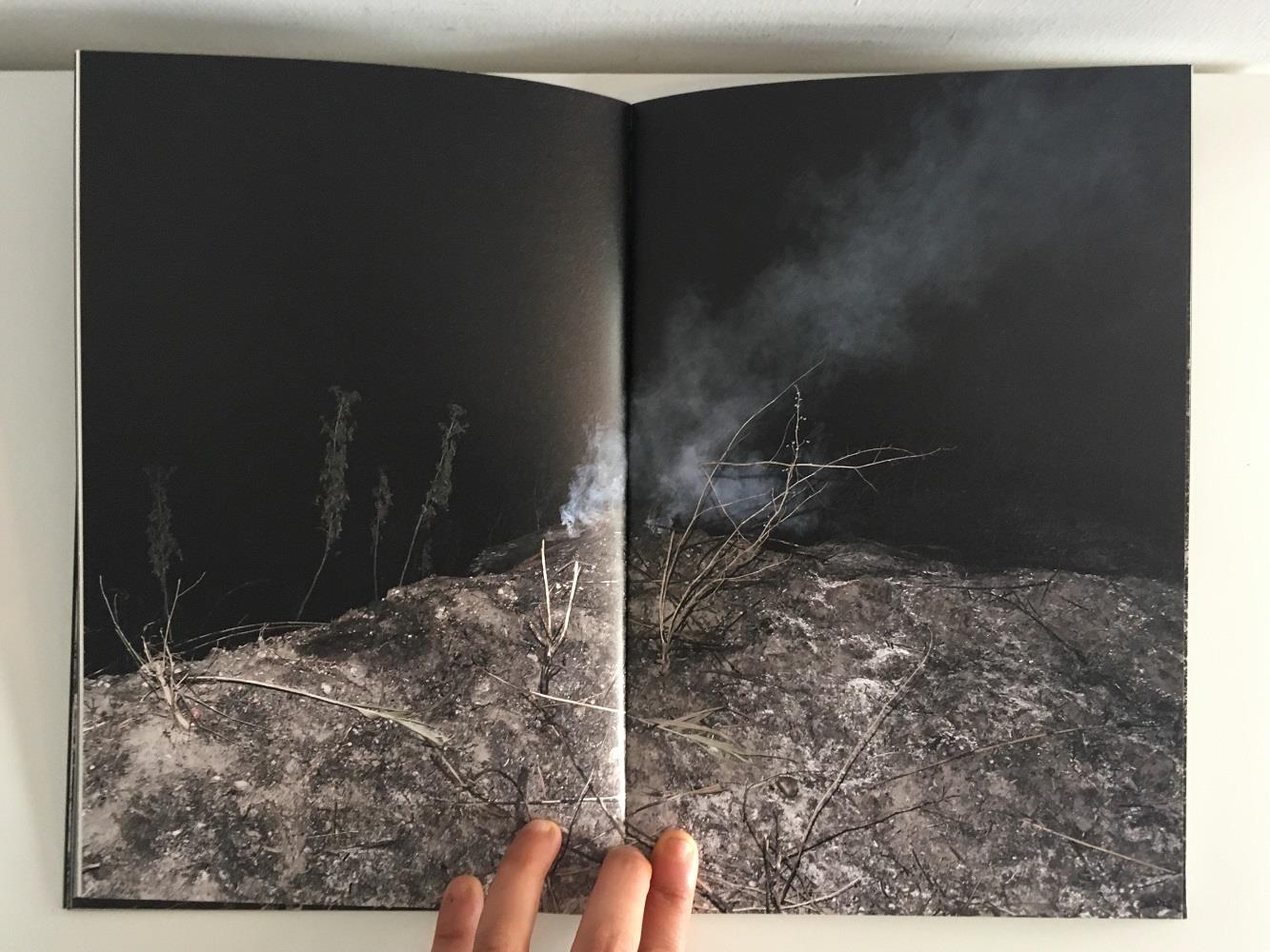 Malagrotta. Ediz. italiana e inglese