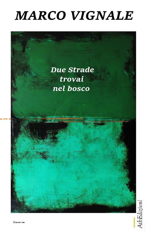 Due strade trovai nel bosco. Ragione occidentale, sentire orientale - Marco Vignale - copertina