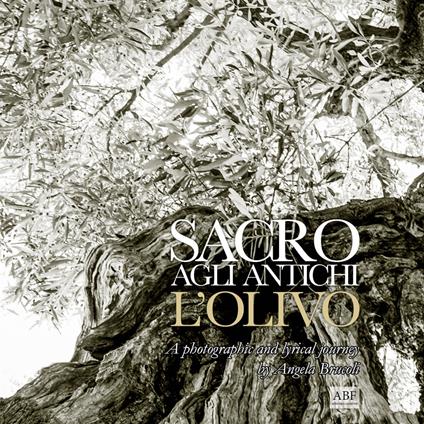 Sacro agli antichi, l'olivo. A photographic and lyrical journey - Angela Brucoli - copertina