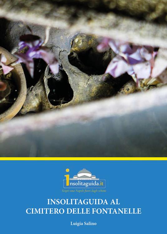 Insolitaguida al Cimitero delle Fontanelle - Luigia Salino - copertina