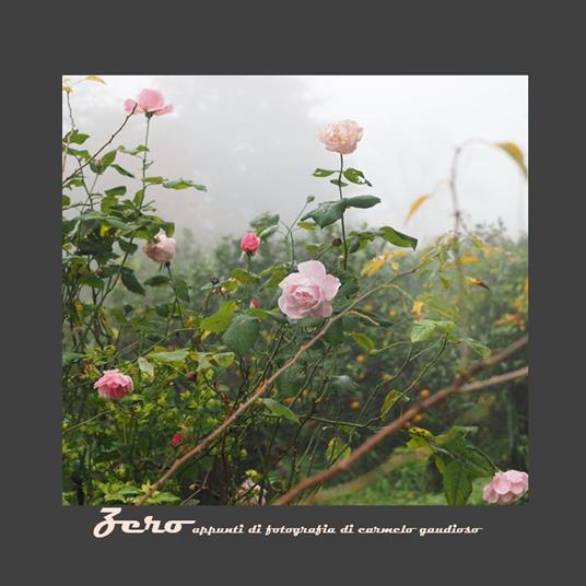 Zero. Appunti di fotografia - Carmelo Gaudioso - copertina