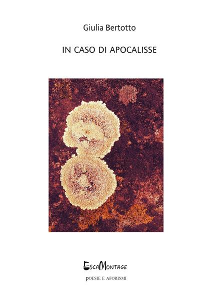 In caso di Apocalisse - Giulia Bertotto - copertina