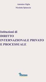 Istituzioni di diritto internazionale privato e processuale