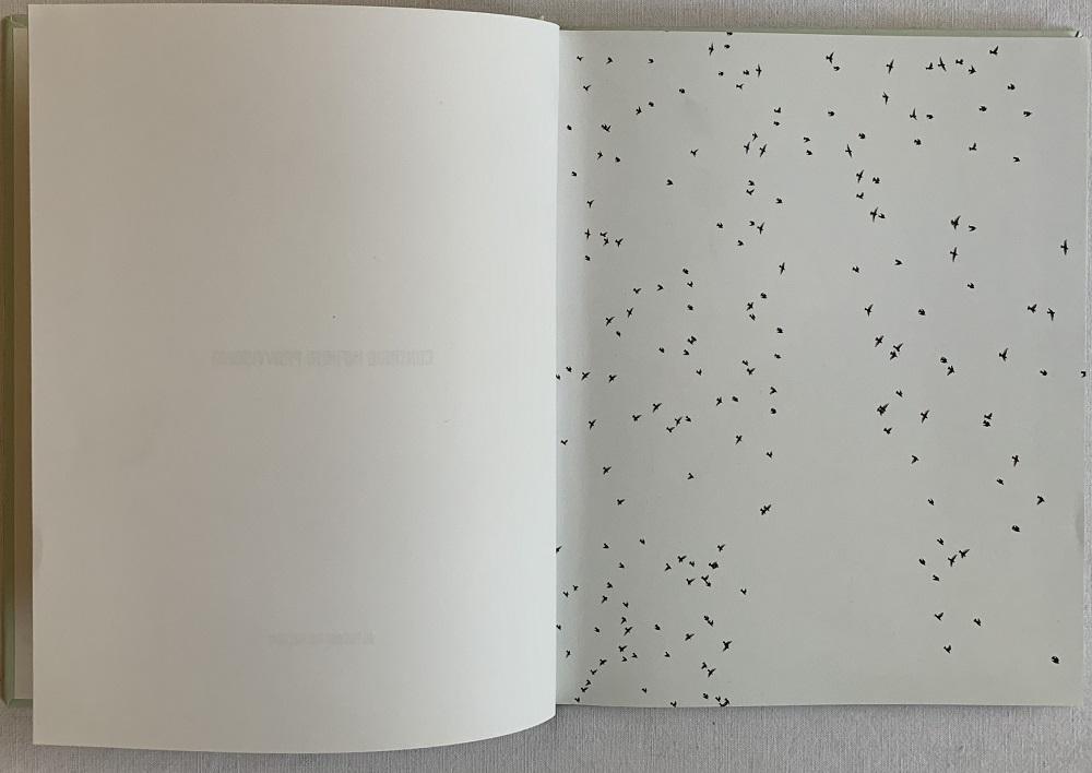 Studio Bibliografico Marini