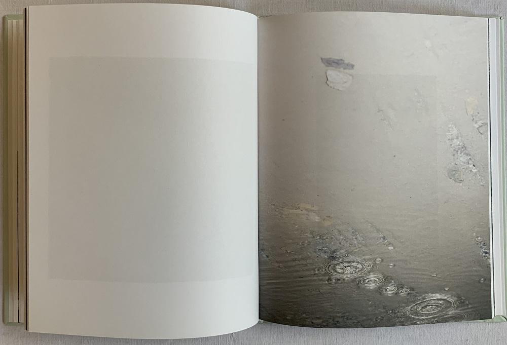 Continuo infinito provvisorio. Ediz. bilingue