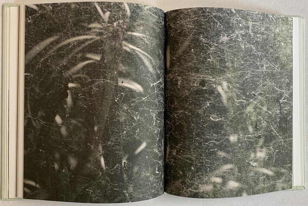 Continuo infinito provvisorio. Ediz. bilingue