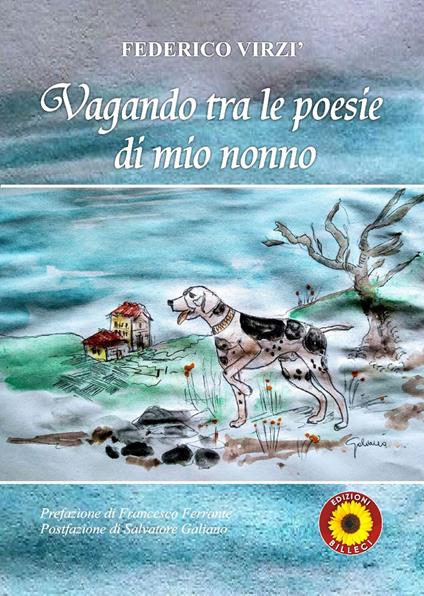 Vagando tra le poesie di mio nonno - Federico Virzì - copertina