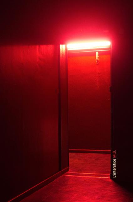 L' interstice. Ediz. inglese e francese - S. M. - copertina