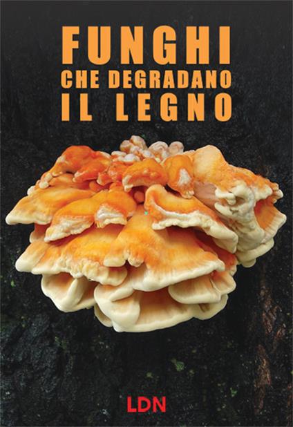 Funghi che degradano il legno. Dinamiche di azione e conseguenze per gli alberi in ambiente forestale e urbano - copertina