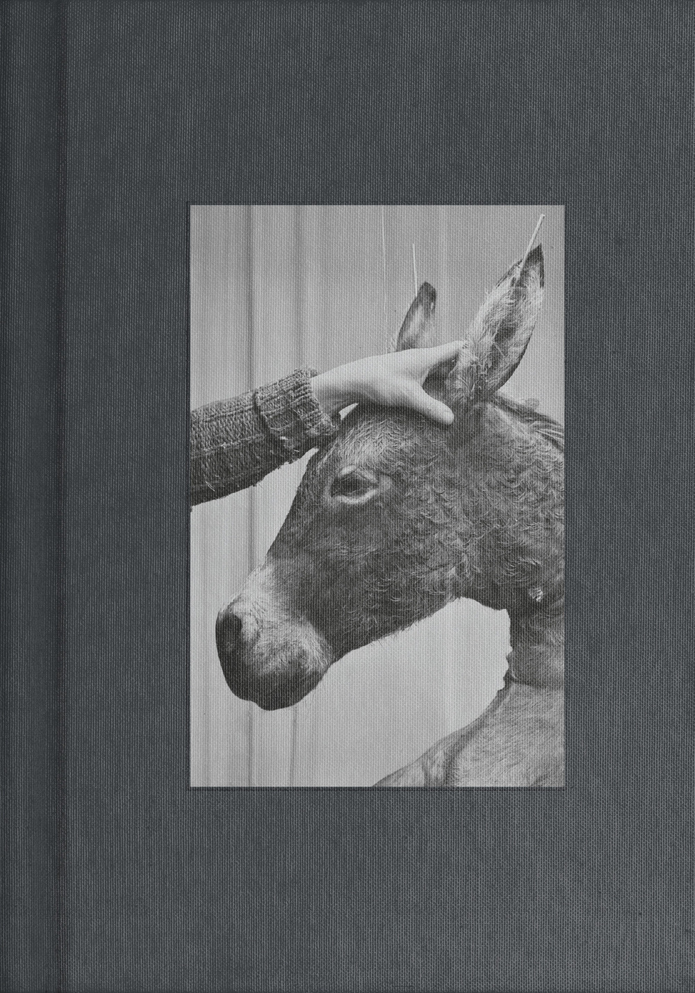 Libreria Quarto Stato