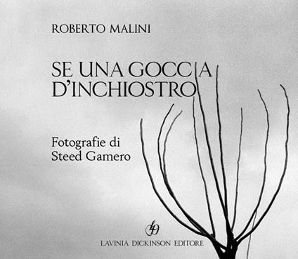 Se una goccia d'inchiostro - Roberto Malini - copertina