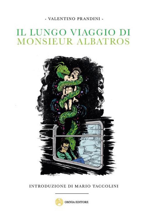 Il lungo viaggio di monsieur Albatros - Valentino Prandini - copertina