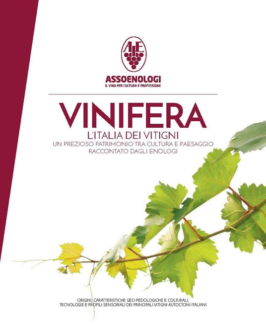 Vinifera. L'Italia dei vitigni. Origini, caratteristiche geo-pedologiche e colturali, tecnologie e profili sensoriali dei principali vitigni autoctoni italiani. Ediz. illustrata - copertina