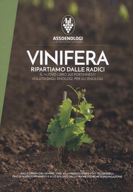 Vinifera. Ripartiamo dalle radici. Il nuovo libro sui portinnesti voluto dagli enologi, per gli enologi. Dalle origini del genere vitis alla ricostruzione post fillosserica fino ai nuovi portinnesti ed allo sviluppo di nuove tecniche di propagazione - copertina