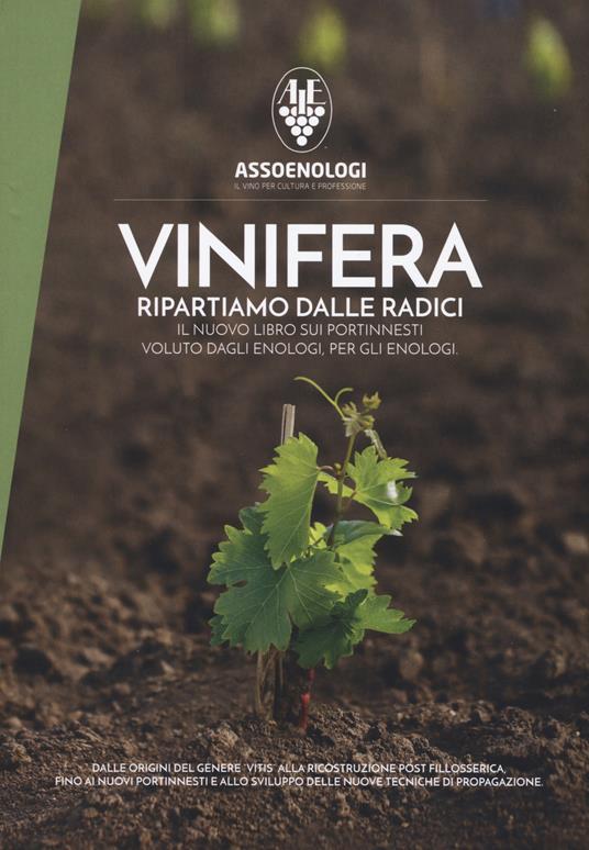 Vinifera. Ripartiamo dalle radici. Il nuovo libro sui portinnesti voluto dagli enologi, per gli enologi. Dalle origini del genere vitis alla ricostruzione post fillosserica fino ai nuovi portinnesti ed allo sviluppo di nuove tecniche di propagazione - copertina