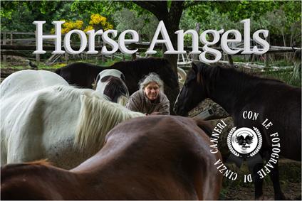 Horse Angels. Ediz. illustrata - Cinzia Canneri - copertina