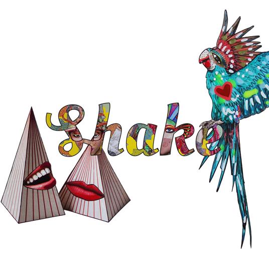 Che collage sia! Shake it up. Ediz. italiana e inglese - Elisa Pietrelli - copertina