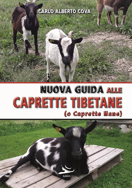 Nuova guida alle caprette tibetane (o caprette nane). Ediz. illustrata - Carlo Alberto Cova - copertina