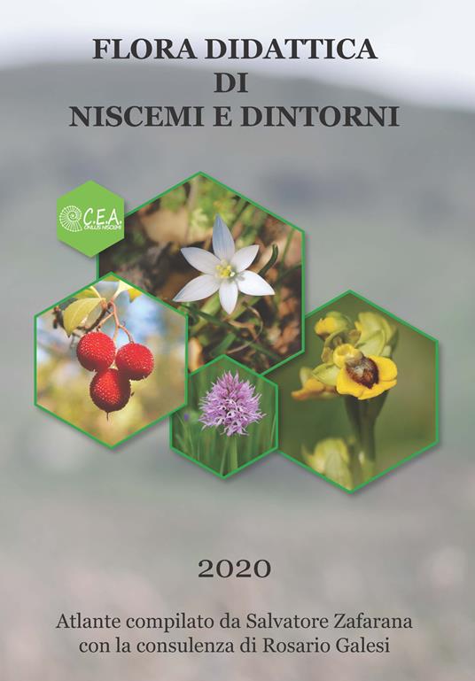 Flora didattica di Niscemi e dintorni. Atlante. Ediz. integrale - Rosario Galesi,Salvatore Zafarana - copertina