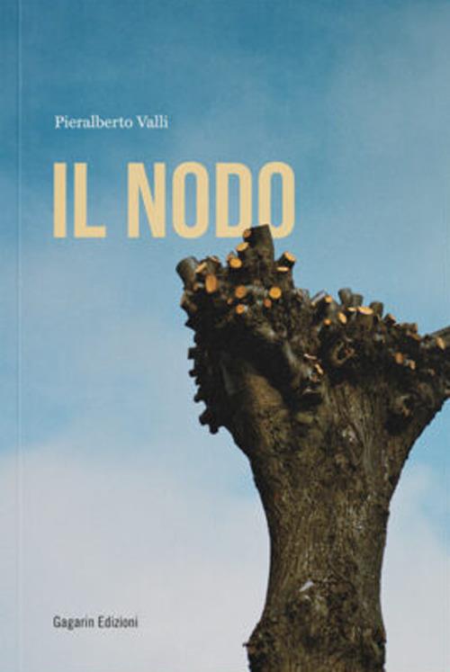 Il Nodo - Pieralberto Valli - copertina