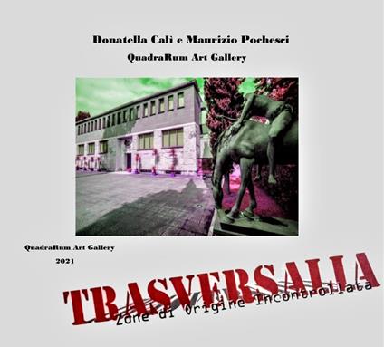 Trasversalia. Zone di Origine Incontrollata. Ediz. illustrata - copertina