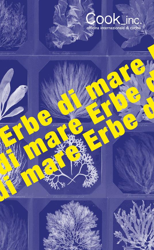 Erbe di mare - Federico Panetta - copertina