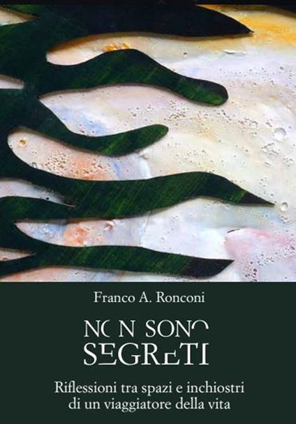 Non sono segreti. Riflessioni tra spazi e inchiostri di un viaggiatore della vita - Franco Ronconi - copertina